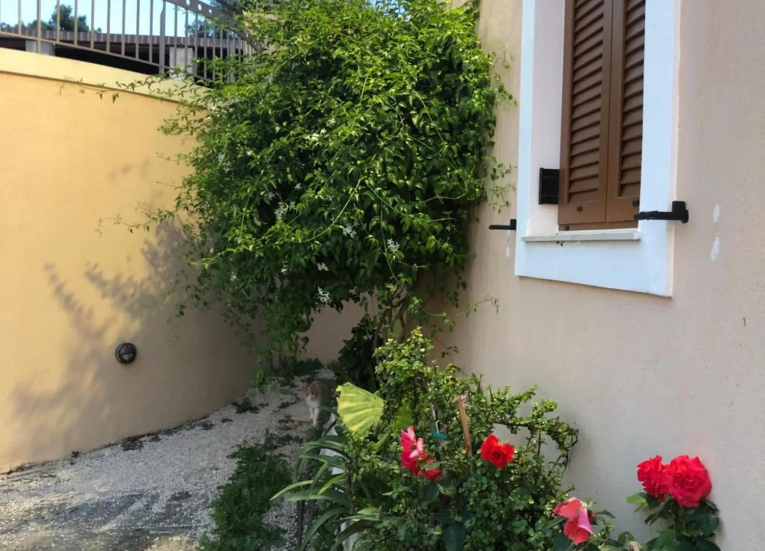 Northwest Studios Argostoli  Argostoli (Kefalonia)